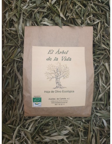 Hoja de olivo ecológica