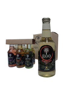 Pack 6 Kombuchas Aguadeolivo 250 ml