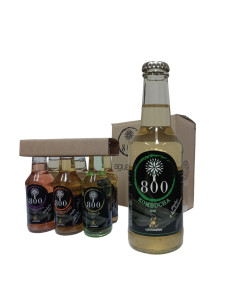 Pack 6 Kombuchas Pepino y Hierbabuena de 250 ml