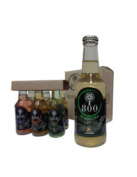 Pack 6 Kombuchas Pepino y Hierbabuena de 250 ml