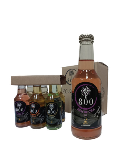 Pack 6 Kombuchas Remolacha y Clavo de 250 ml