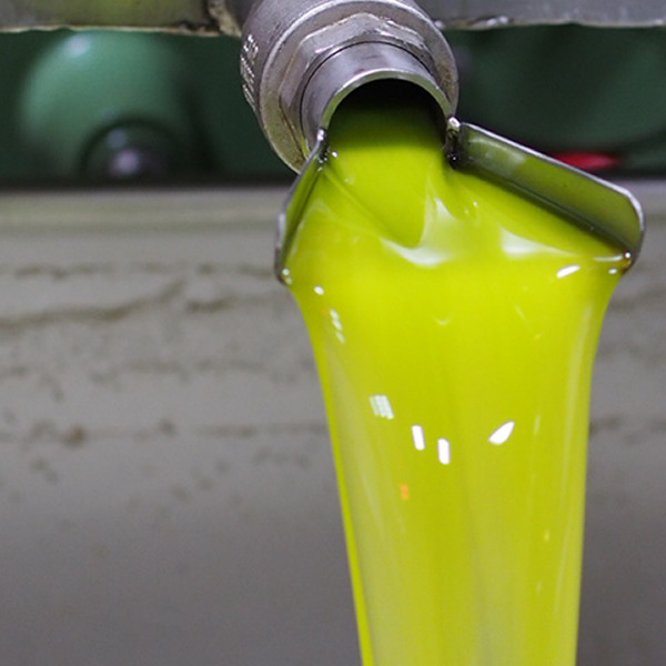 El aceite de oliva verde es fuente de salud y de deleite para los sentidos
